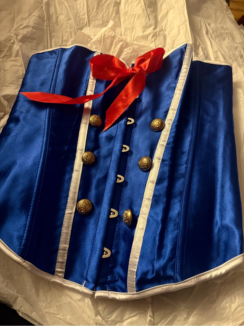 Blue Costume Corset with Red Bow